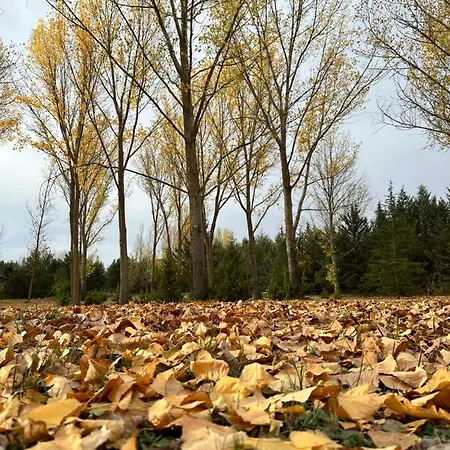Paraíso Rural El Burgo De Osma