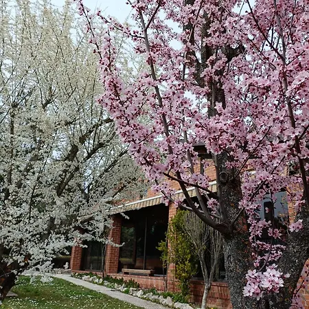 Paraiso Rural Holiday home