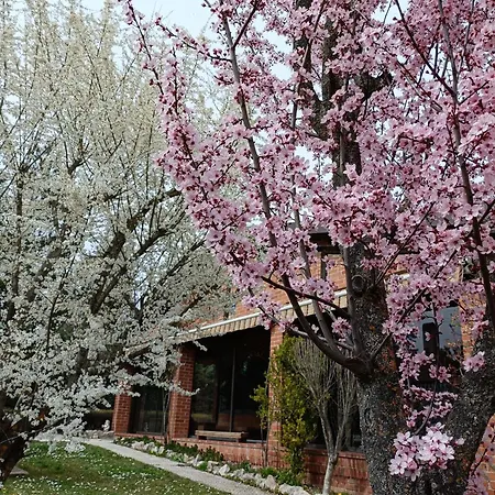 Paraiso Rural Vakantiehuis