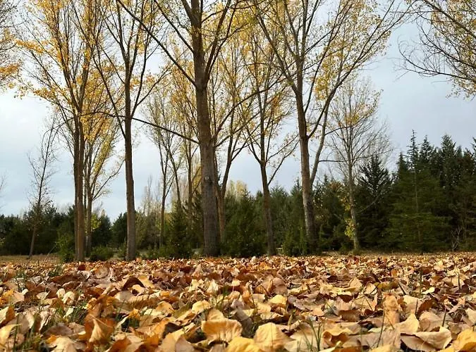 Paraiso Rural 엘부르고데오스마