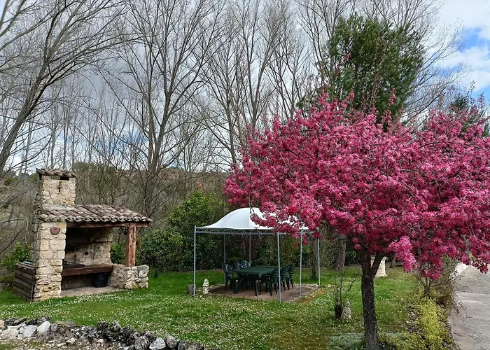 Paraiso Rural 펜션 *